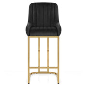 Paget BS Velvet Negro