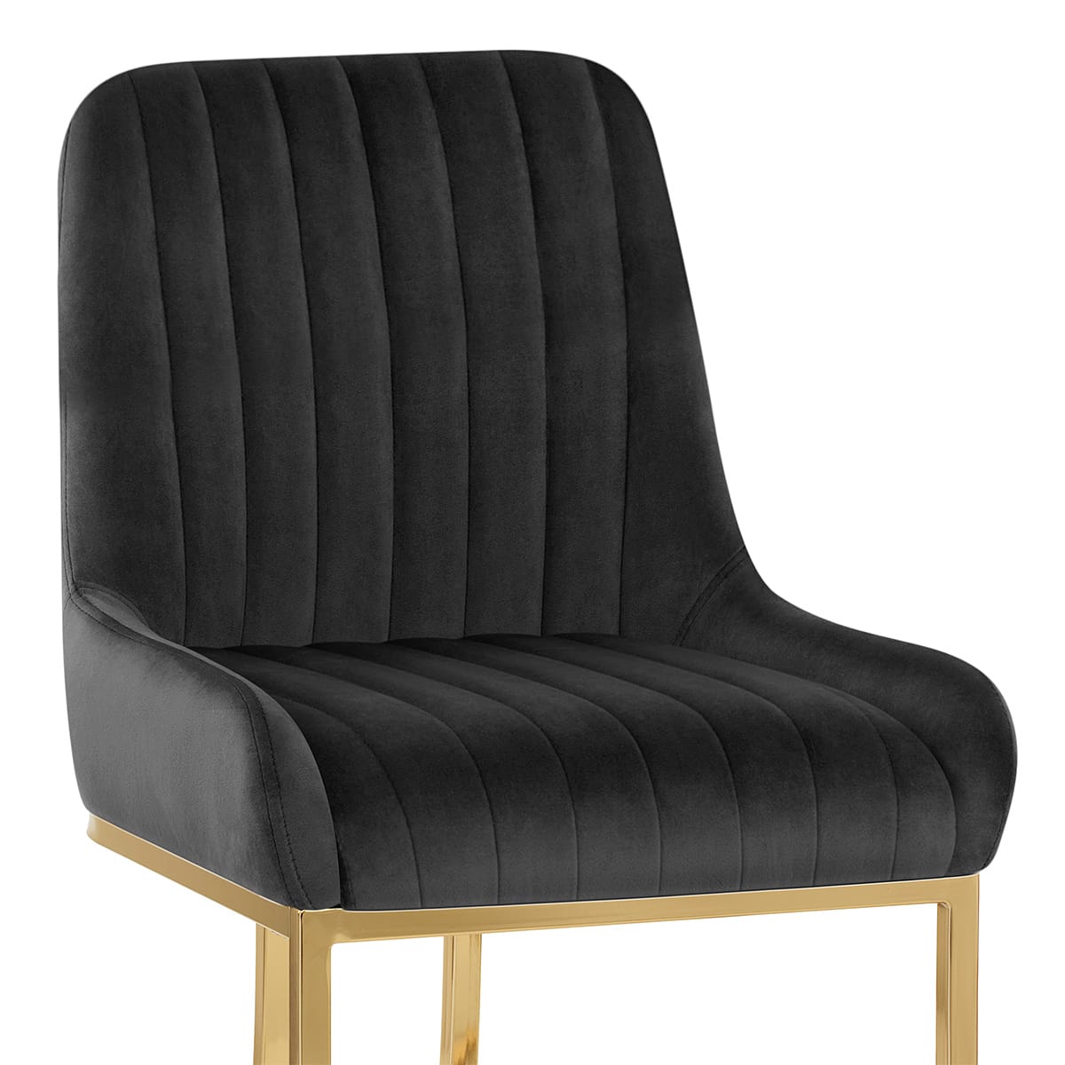 Paget DC Negro