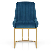 Paget DC Azul