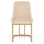 Paget DC Crema